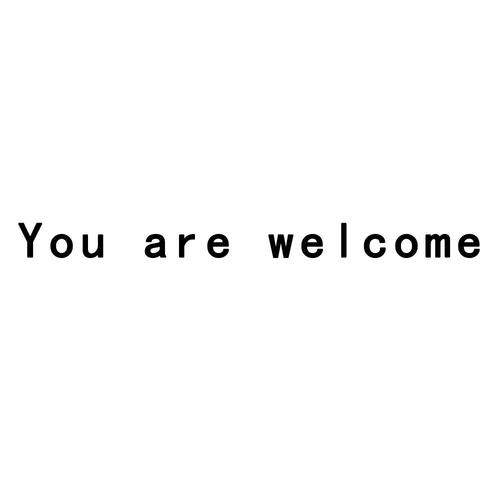 you are welcome-you are welcome什么意思