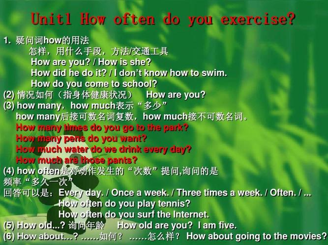 how about-how about后面动词加什么