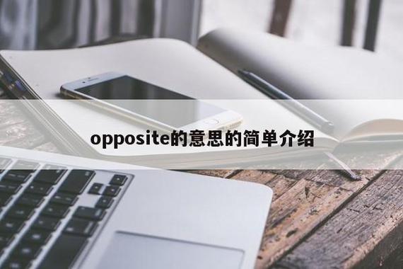 opposite是什么意思-