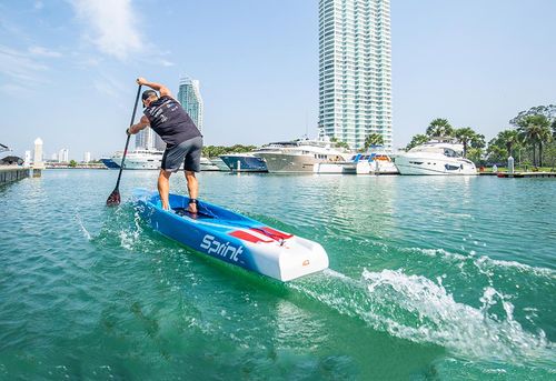 paddle-paddle是什么意思