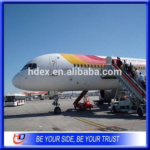 freight forwarder-freight forwarder翻译