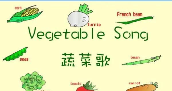 vegetables怎么读-vegetable怎么读