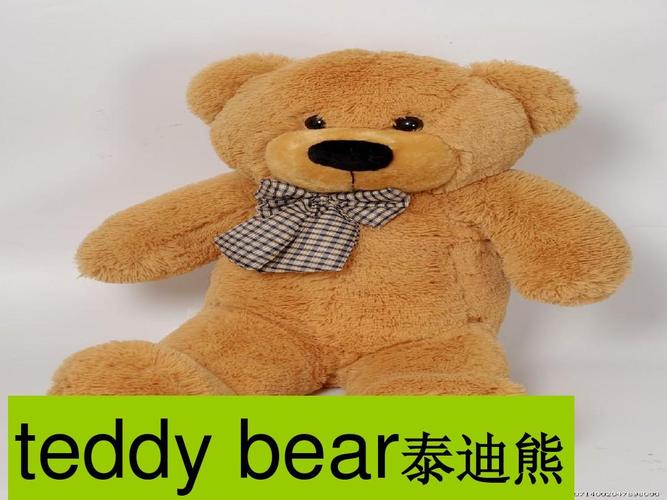 bear什么意思-bear什么意思英语怎么读音