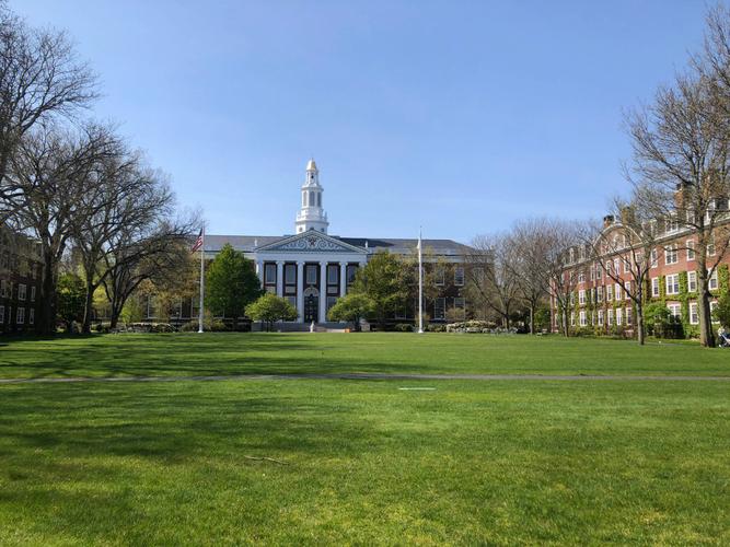 harvard-harvard university