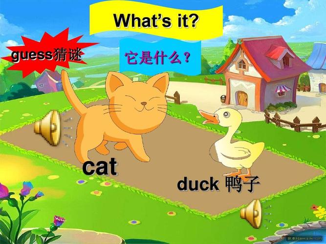 duck是什么意思-duck是什么意思英语怎么读音