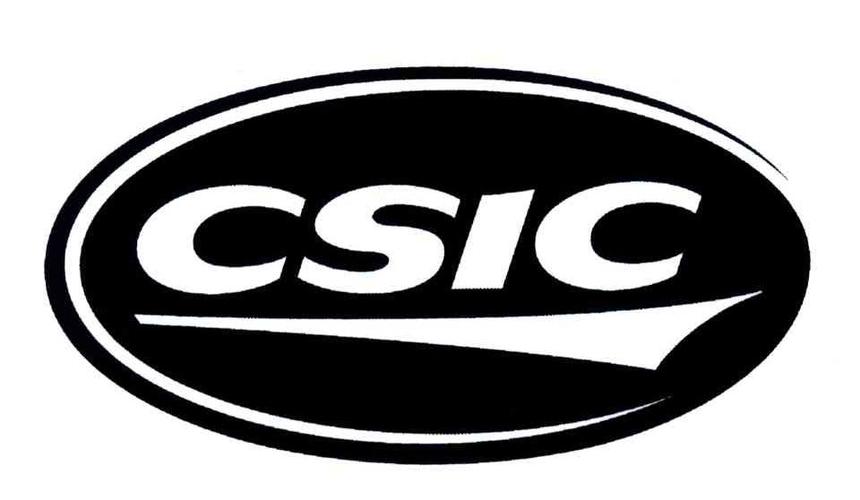 csic-csic是什么公司