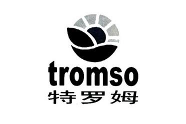 tromso-Tromso是什么意思