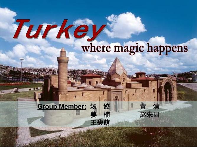 turkey是什么意思-Turkey是什么意思中文