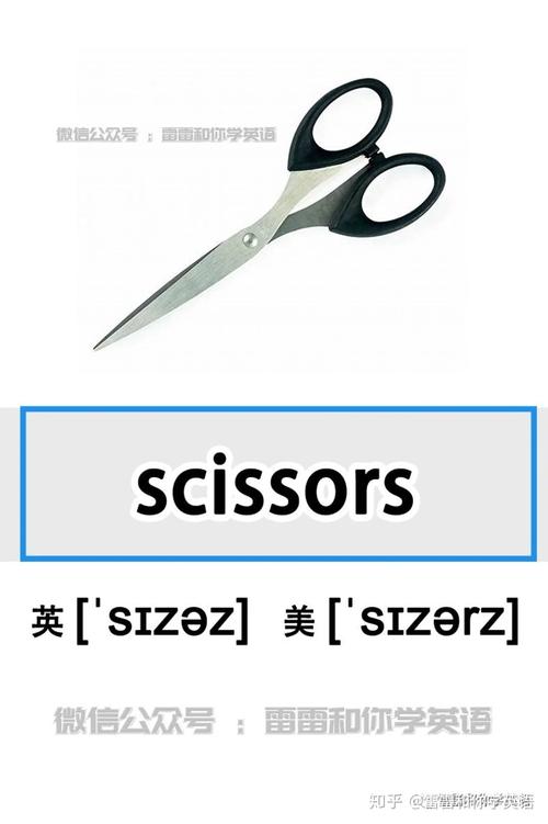 scissors怎么读-scissors怎么读英语