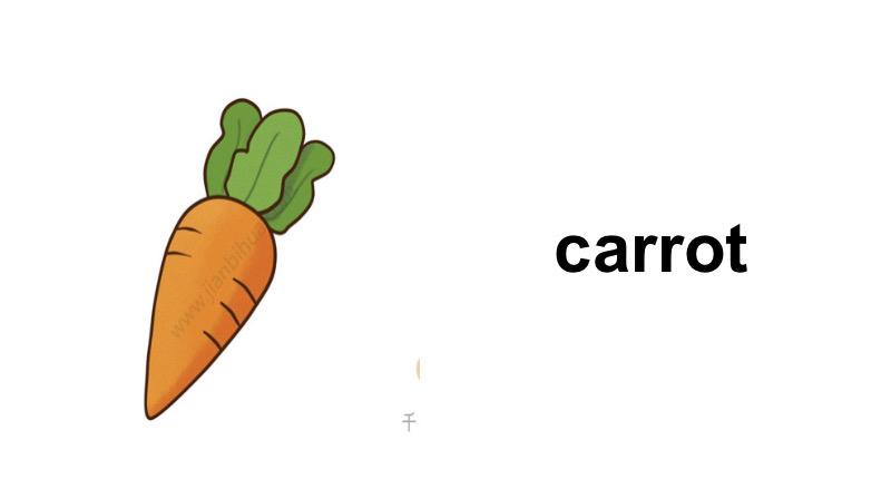 carrot怎么读-carrot怎么读英语