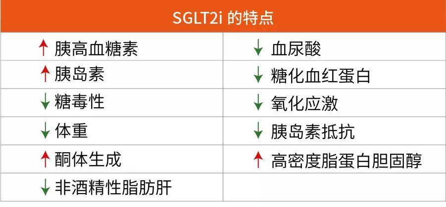 SGL-sglt2抑制剂最常见的不良反应