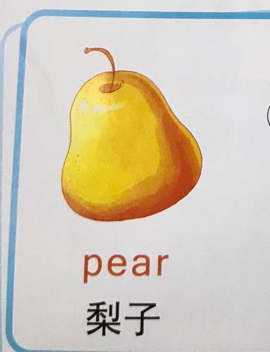 pear-pear英语怎么读