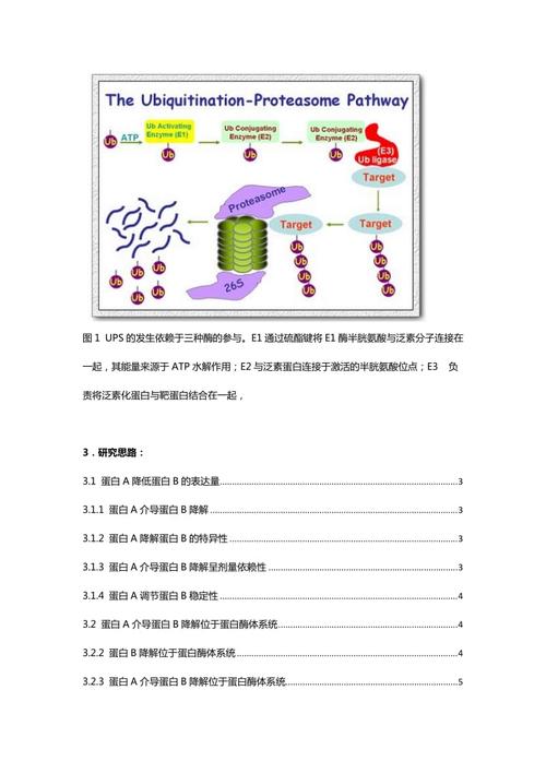 翻译后修饰-什么是蛋白翻译后修饰