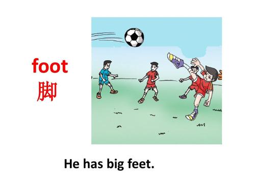 feet-feet的音标