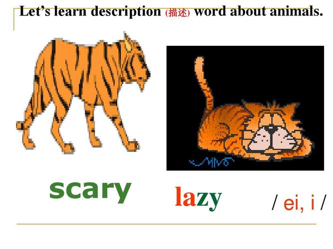 lazy-lazy catty翻译中文