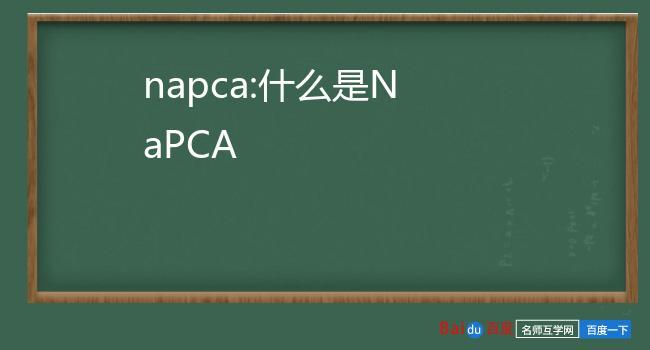 napca-napca是什么东西