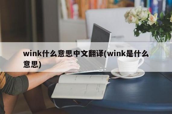 wink什么意思中文翻译-wink翻译成中文