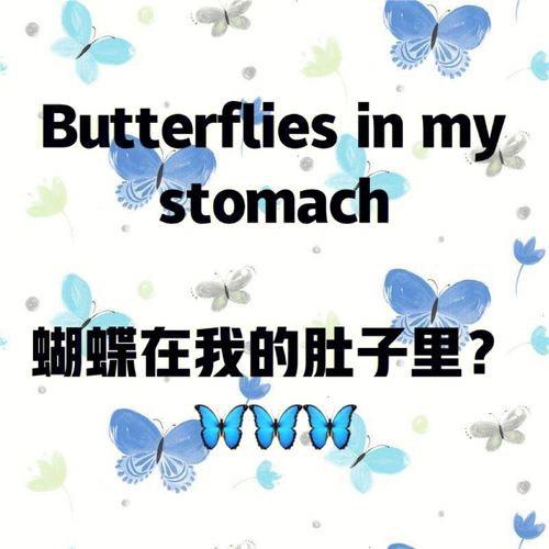 butterflies-butterflies in one's stomach