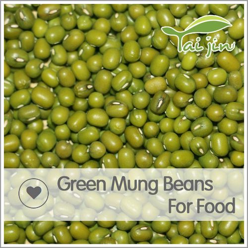 beans-beans怎么读