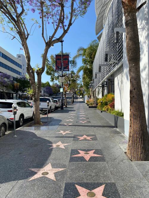 hollyweed-hollywoodwalkoffame