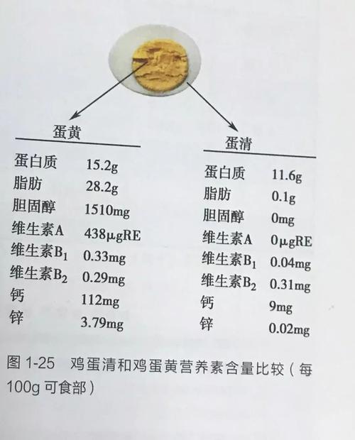 卵黄磷蛋白-卵黄磷蛋白的作用