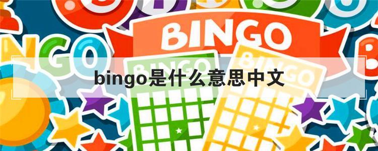 bin-bingo是什么意思