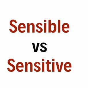 sensible-sensible的名词