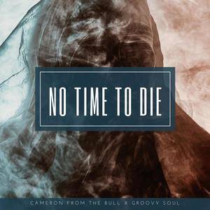 NO TIME TO DIE-no time to die翻译