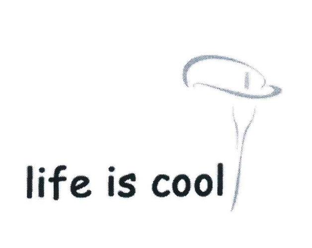 life is cool-life is cool的意思