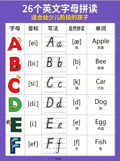 26个字母的发音-26个字母的发音音标自然拼读