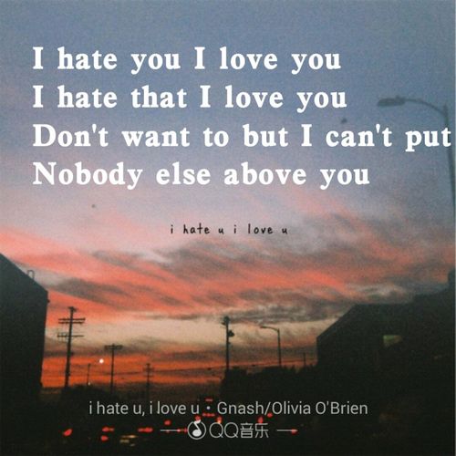 i hate love-i hate love翻译