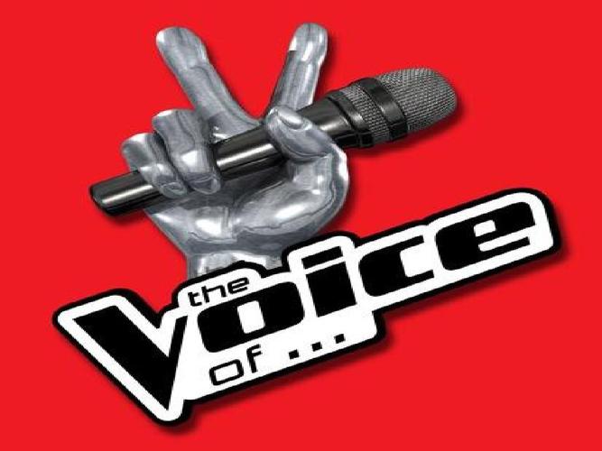 the voice of holland-the voice of holland中文