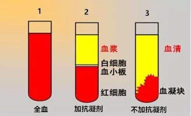 正常情况下-正常情况下血浆什么颜色