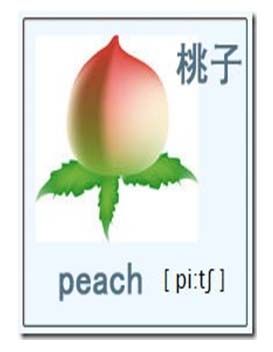 peach怎么读-peach怎么读音英语怎么读