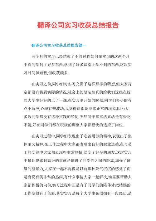 商务翻译-商务翻译实训总结与体会