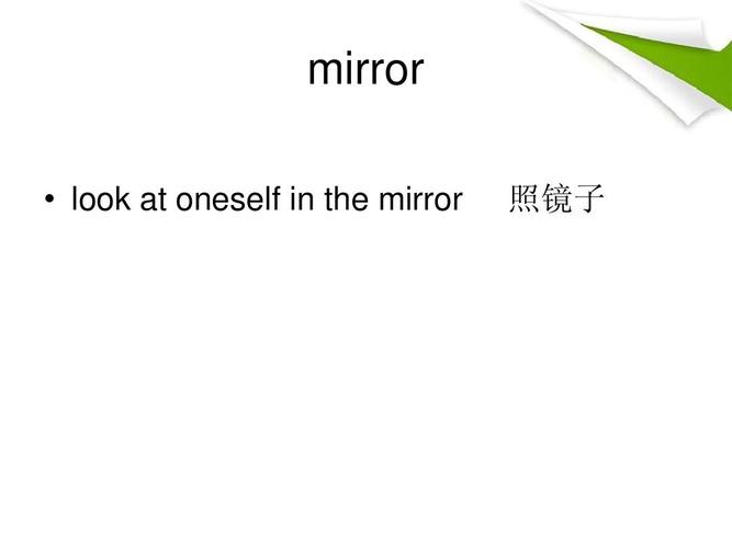 mirror是什么意思-mirror是什么意思英语