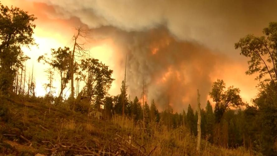 wildfires-wildfire是什么自然灾害