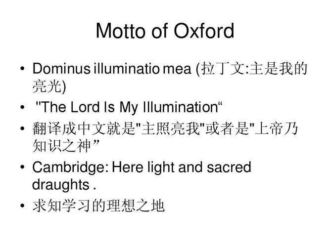 illumination-illumination翻译成中文